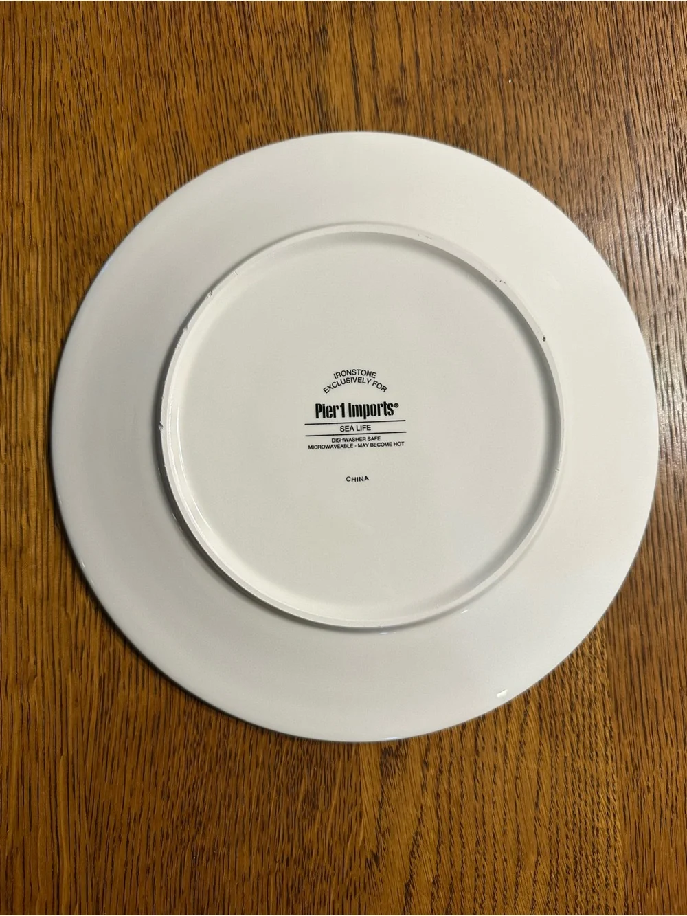 Pier 1 Sea Life Seahorse 9” Salad Plate Ironstone Coastal Nautical Discontinued